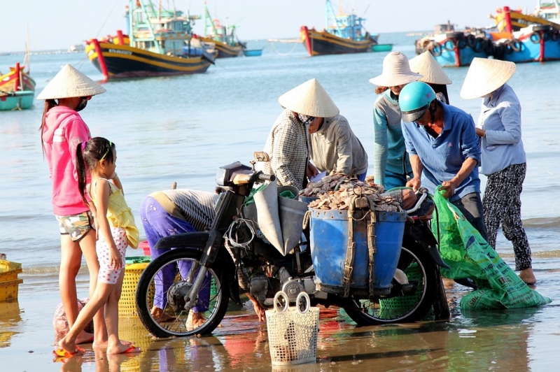 Hải sản tươi sống 