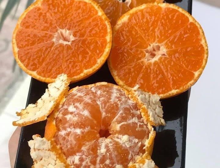 Cửa hàng trái cây sạch