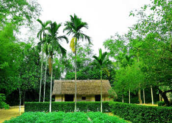 Top 29 địa điểm không nên bỏ lỡ khi đến du lịch Nghệ An