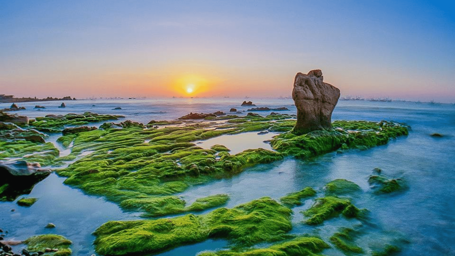 Bãi biển Cổ Thạch - Cảnh đẹp Bình Thuận mát mẻ