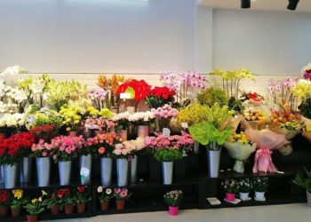 28+ Shop hoa tươi gần đây tại Đà Nẵng đẹp, chất lượng