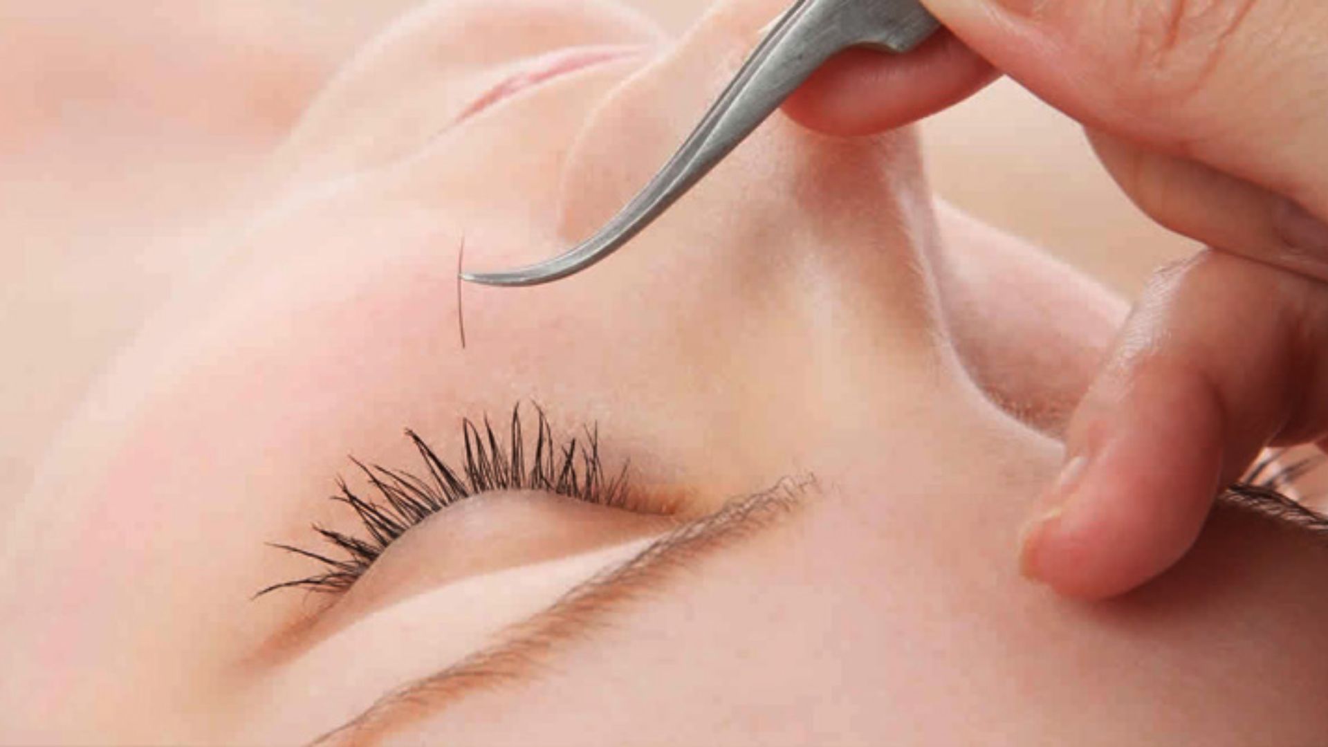 Thảo Eyelash - Cung cấp dịch vụ nối mi chất lượng
