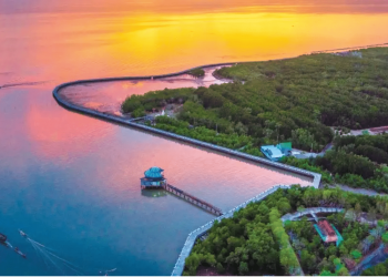 Cà Mau có gì chơi cùng 20+ địa điểm siêu hot