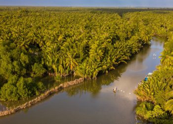 Khám phá 30 khu du lịch Bến Tre cực hấp dẫn không được bỏ lỡ