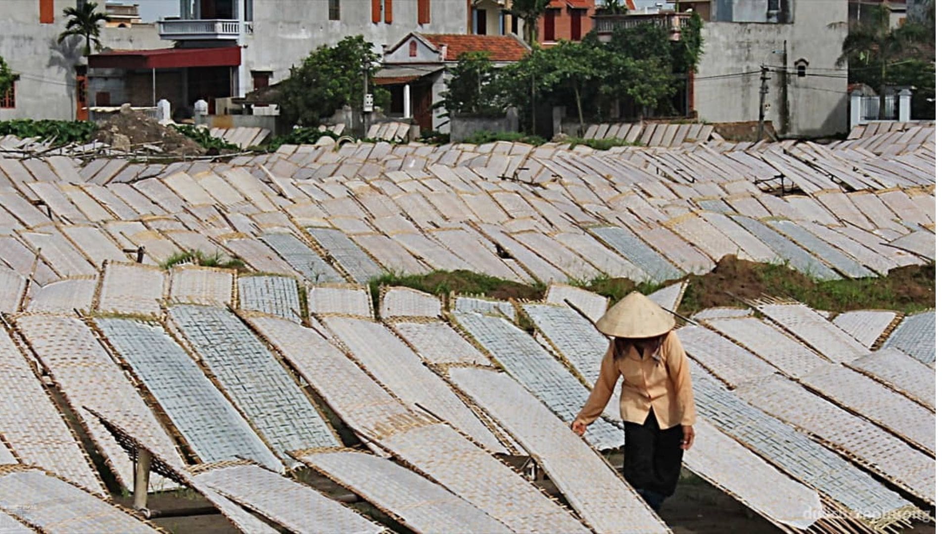 Làng nghề bánh đa Lộ Cương - Địa điểm thu hút khách du lịch