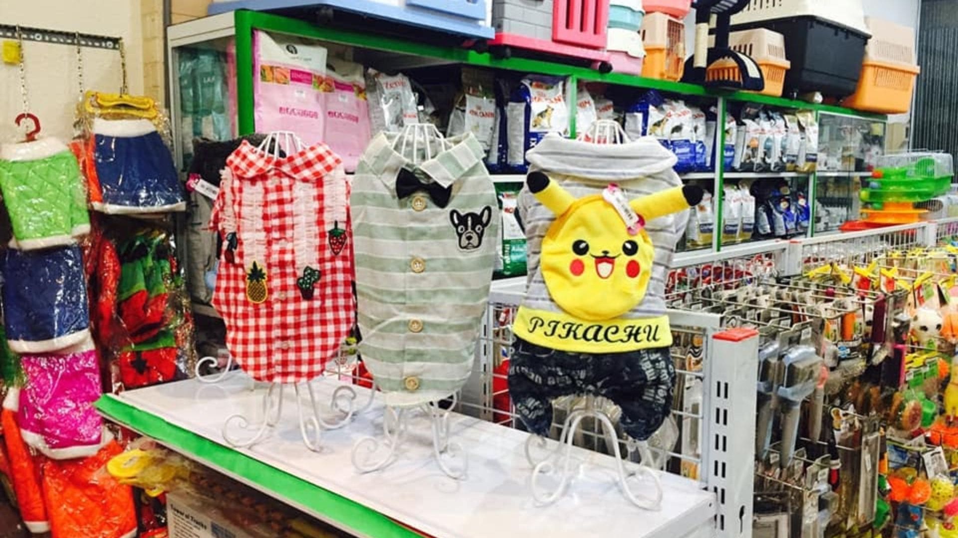 Cún Yêu shop – Pet shop Đà Nẵng chuyên nghiệp, chu đáo